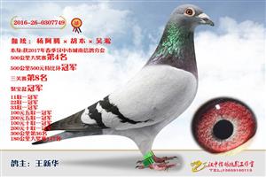 ����ʡ�������Ÿ�Э����Ϸֻ�