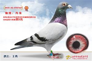 ����ʡ�������Ÿ�Э����Ϸֻ�