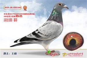 ����ʡ�������Ÿ�Э����Ϸֻ�