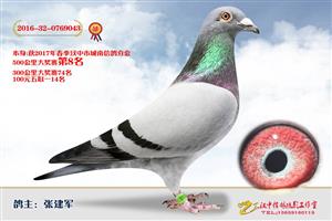 ����ʡ�������Ÿ�Э����Ϸֻ�