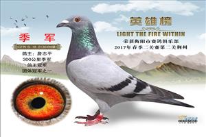 ���Ϻ������Ÿ�Э��