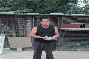 ������˳�����Ÿ�Э��