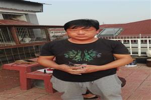 ������˳�����Ÿ�Э��