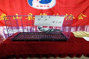 ����ʡ��ɽ���Ÿ�Э��