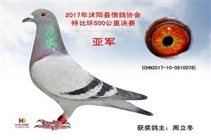 �����������Ÿ�Э��