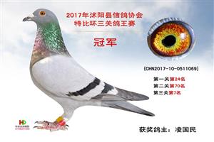 �����������Ÿ�Э��