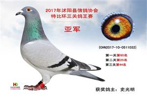 �����������Ÿ�Э��