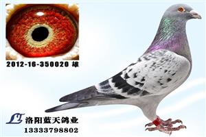 ����ʡ������ְ���Ÿ�Э��