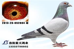 ����ʡ������ְ���Ÿ�Э��