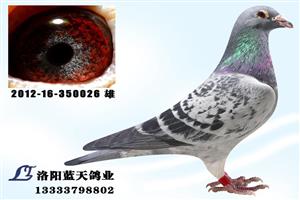 ����ʡ������ְ���Ÿ�Э��