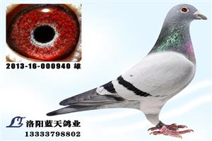 ����ʡ������ְ���Ÿ�Э��