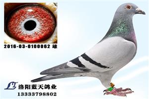 ����ʡ������ְ���Ÿ�Э��