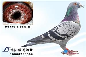 ����ʡ������ְ���Ÿ�Э��