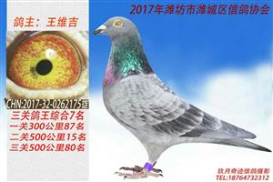 Ϋ����Ϋ�����Ÿ�Э��