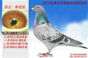 Ϋ����Ϋ�����Ÿ�Э��