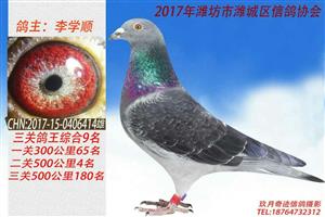 Ϋ����Ϋ�����Ÿ�Э��