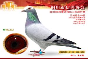 ����ʡͭ�����Ÿ�Э��