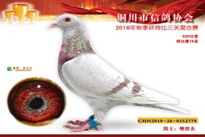 ����ʡͭ�����Ÿ�Э��