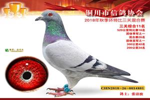 ����ʡͭ�����Ÿ�Э��