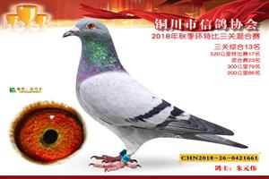 ����ʡͭ�����Ÿ�Э��