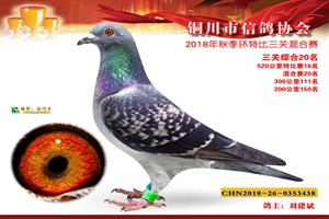 ����ʡͭ�����Ÿ�Э��