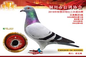 ����ʡͭ�����Ÿ�Э��