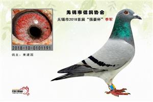 �����������Ÿ��˶�Э��