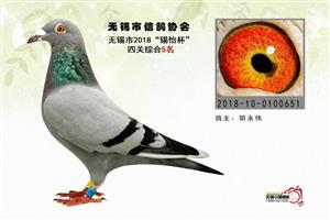 �����������Ÿ��˶�Э��