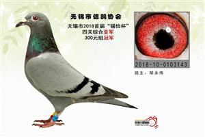 �����������Ÿ��˶�Э��