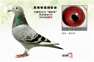 �����������Ÿ��˶�Э��