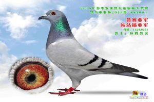 ����Ȫ�ݰ�Ϫ�Ÿ�Э��