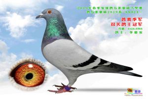 ����Ȫ�ݰ�Ϫ�Ÿ�Э��