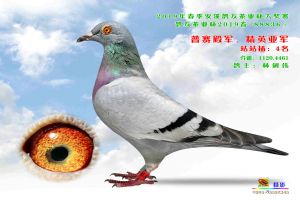 ����Ȫ�ݰ�Ϫ�Ÿ�Э��