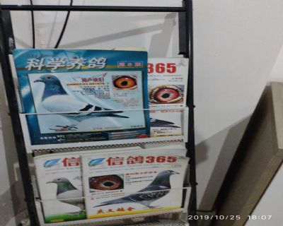 ɽ��ʡ������Ÿ�Э��