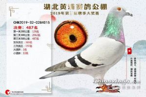 ���ϳ����������Ÿ�Э��