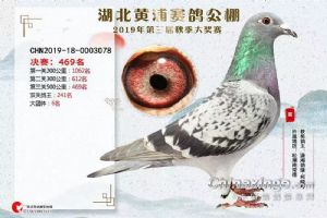 ���ϳ����������Ÿ�Э��