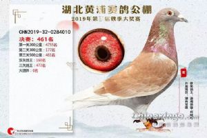 ���ϳ����������Ÿ�Э��