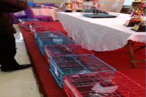 ����ʡ�������Ÿ�Э��