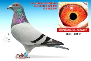 ����ʡ�����������Ÿ�Э��