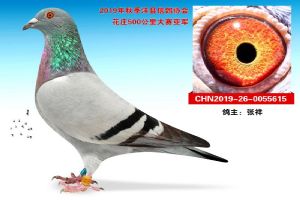 ����ʡ�����������Ÿ�Э��