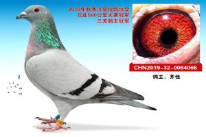 ����ʡ�����������Ÿ�Э��