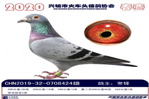 �˳����Ÿ�Э��