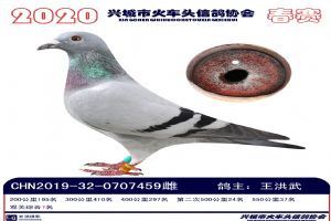 �˳����Ÿ�Э��