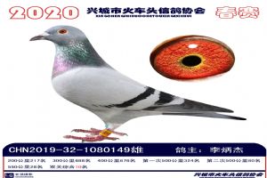 �˳����Ÿ�Э��