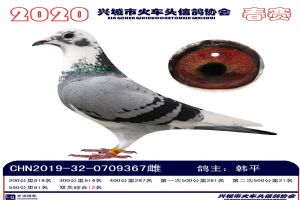 �˳����Ÿ�Э��