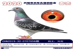 �˳����Ÿ�Э��