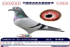 �˳����Ÿ�Э��