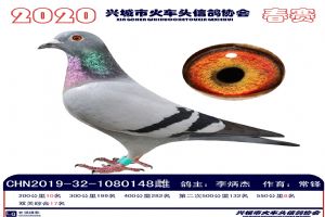 �˳����Ÿ�Э��