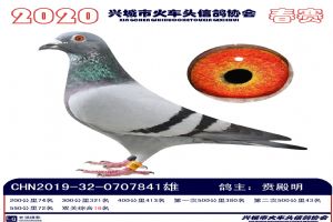 �˳����Ÿ�Э��