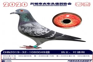 �˳����Ÿ�Э��